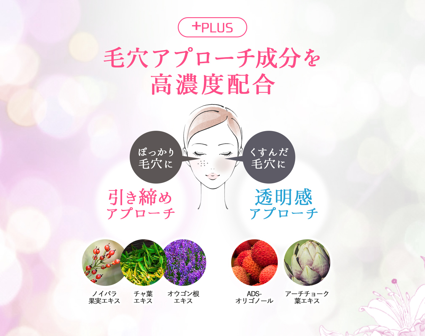 毛穴アプローチ成分を高濃度配合